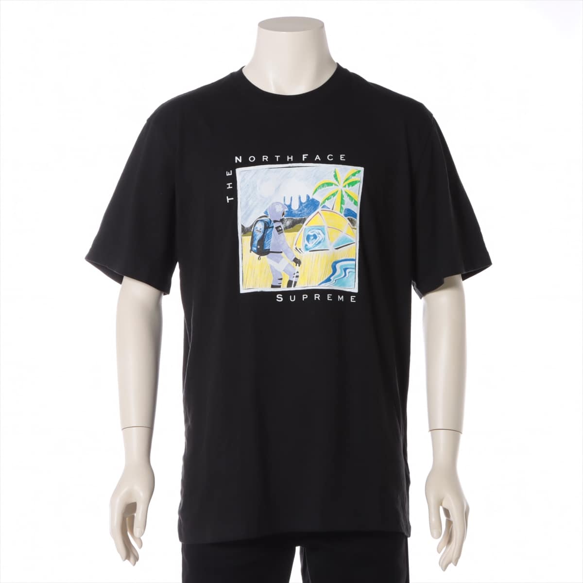 SUPREME × THE NORTH FACE 22SS Cotton T-shirt L Men's Black  NT02203I Sketch S/S TEE