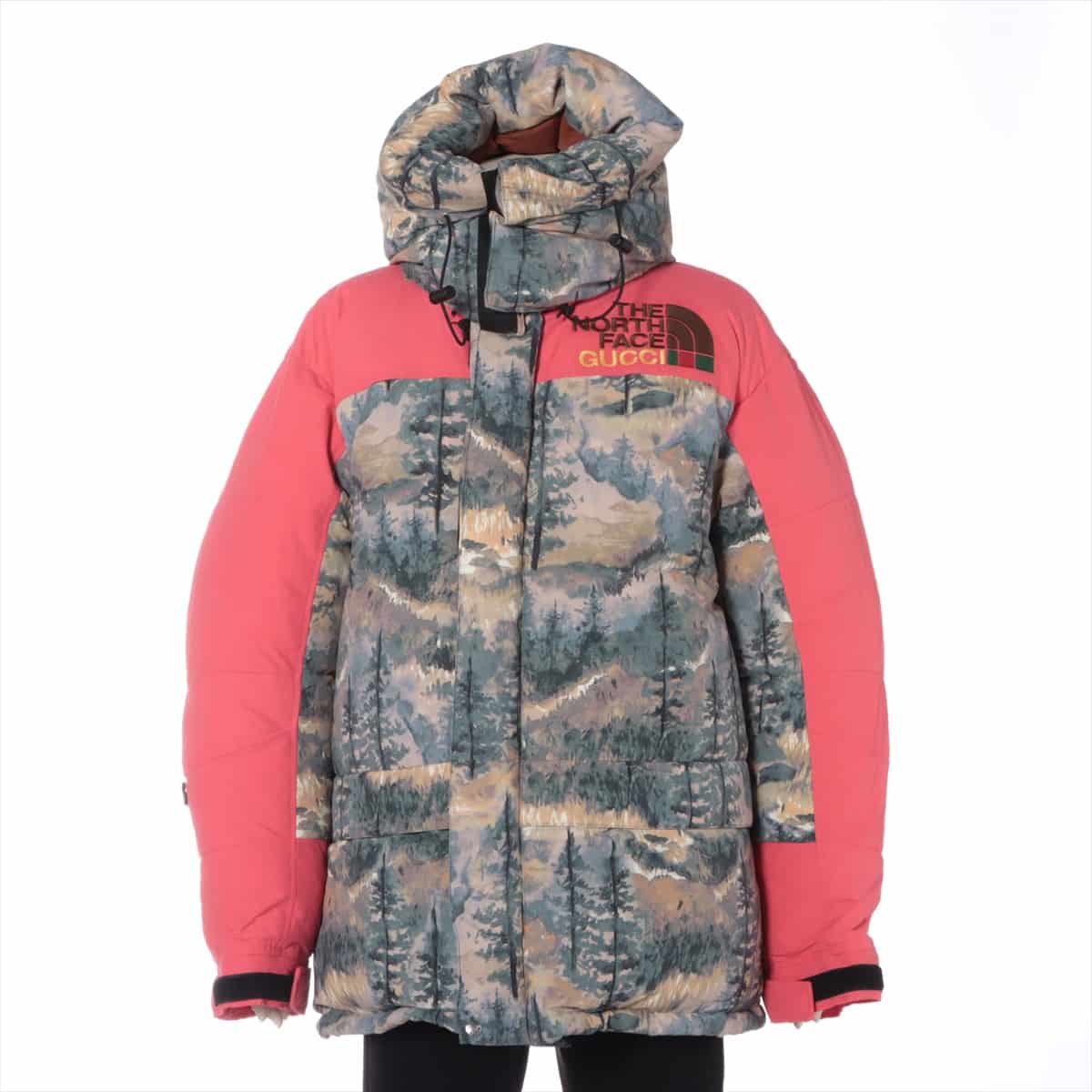 Gucci x North Face Nylon Down jacket L Men's Multicolor  663895