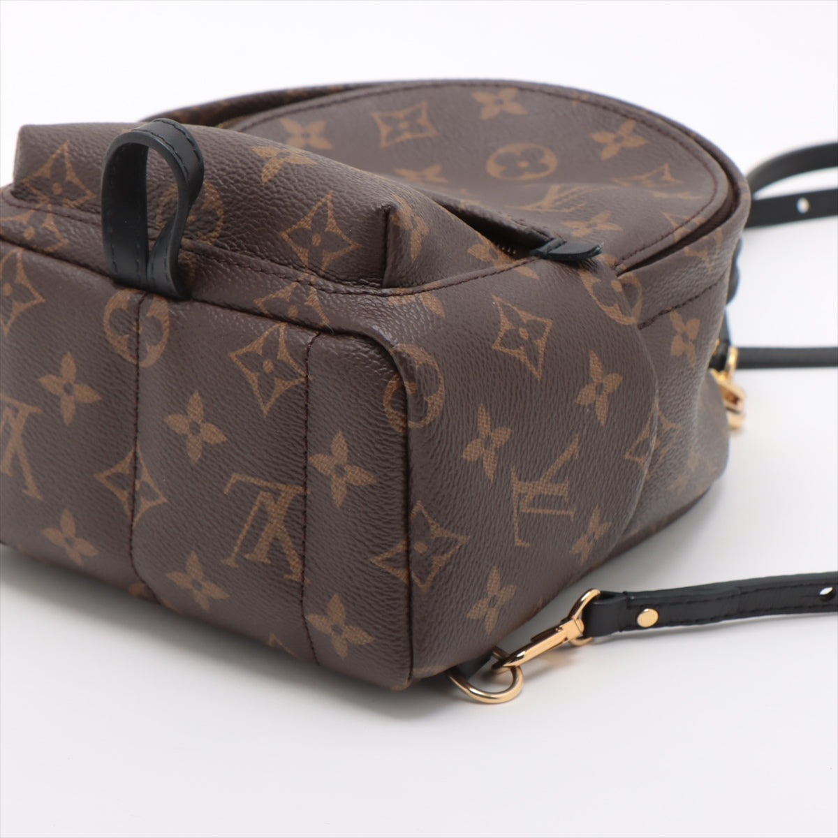 Louis Vuitton Monogram palm springs Backpack MINI M44873